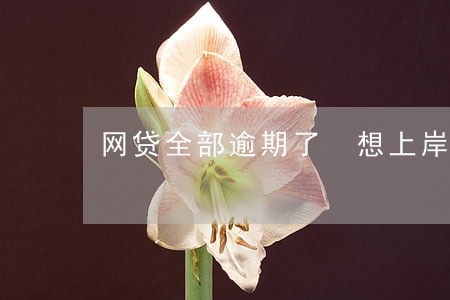 网贷全部逾期了 想上岸 网贷全部逾期了 想上岸